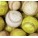 Baseball & Softball