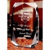 Corporate Crystal Acrylic (Acrylic Awards)