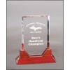 Rectangle Prestige Acrylic with Rosewood Piano Finish Base (Acrylic Awards)