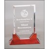 Rectangle Prestige Acrylic with Rosewood Piano Finish Base (Acrylic Awards)