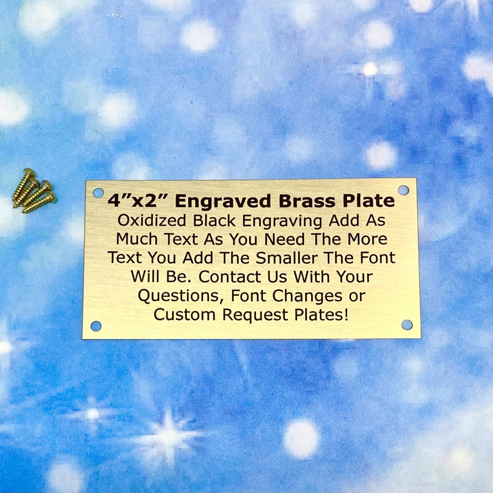 2"x4" Brass Metal Plate with Screws