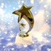Shooting Star Trophy - A1 (A1)