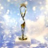 Reach for the Stars Trophy - A1 (A1)