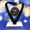 Lamp of Knowledge Medallion Trophy - A15 (Academic)