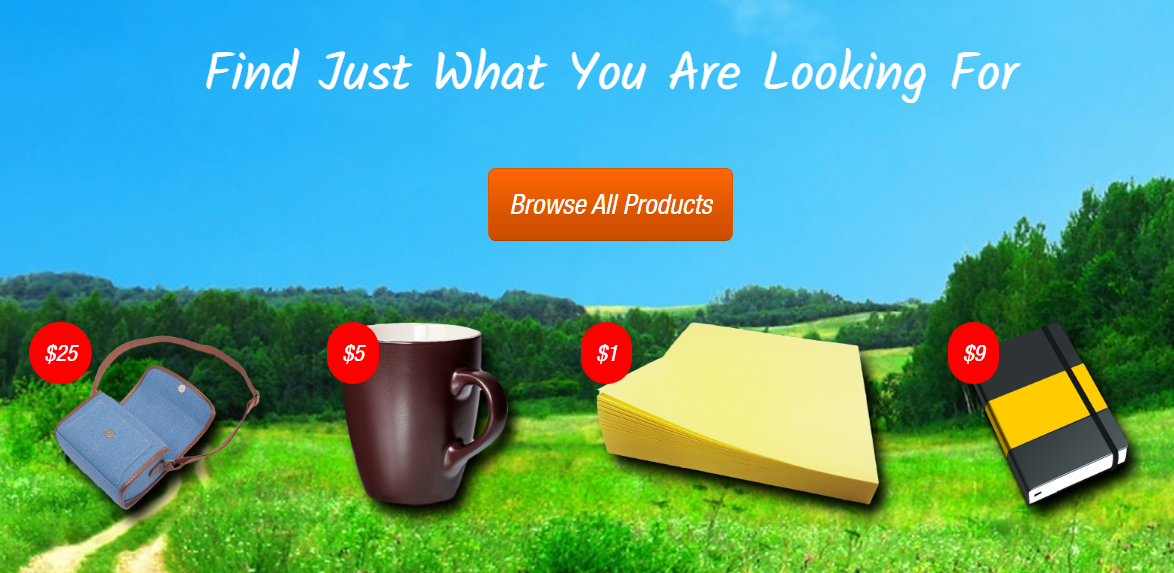 Promotional Website Promotional Website